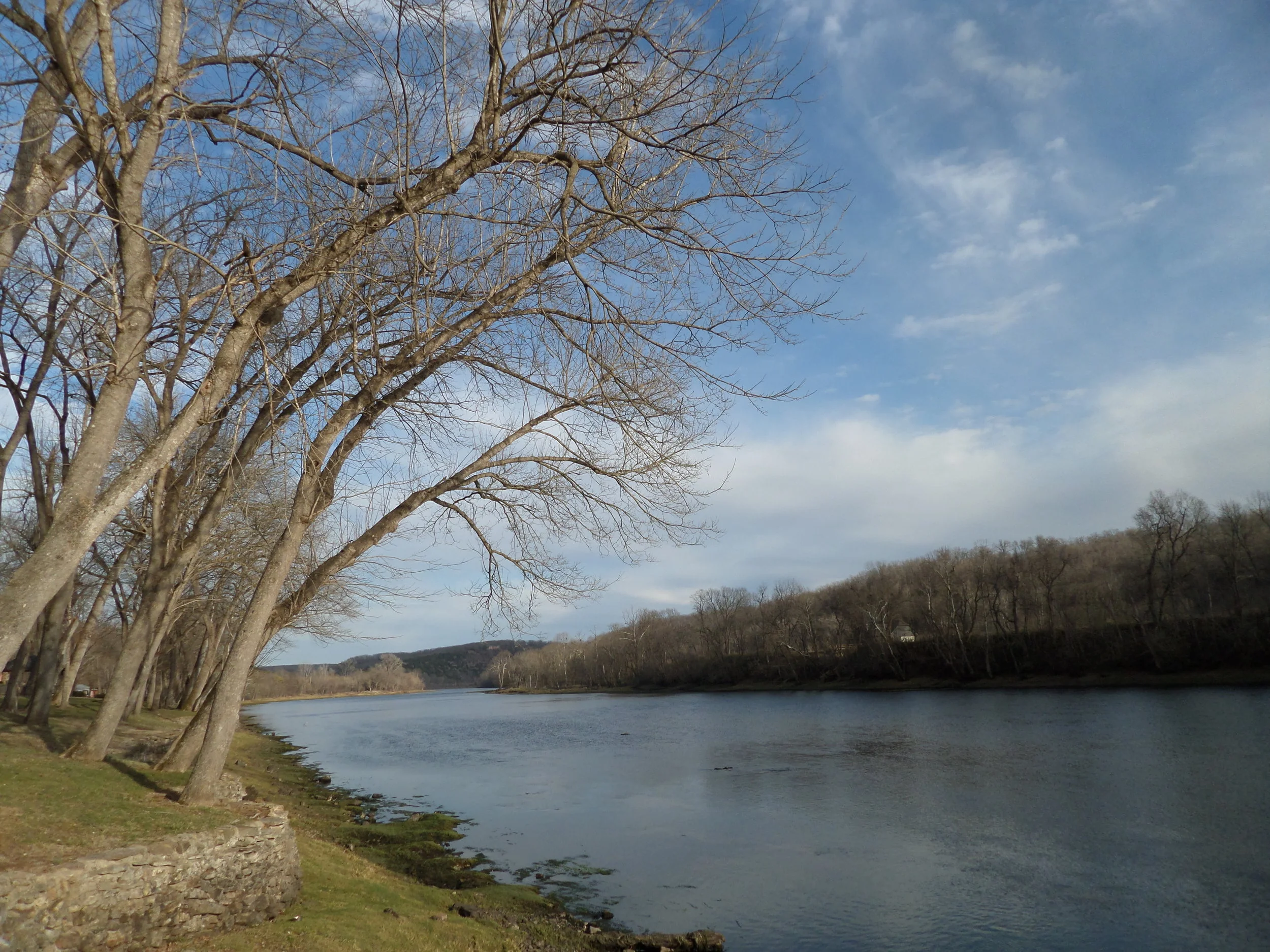 Flying the 1996 Aviat Husky A-1