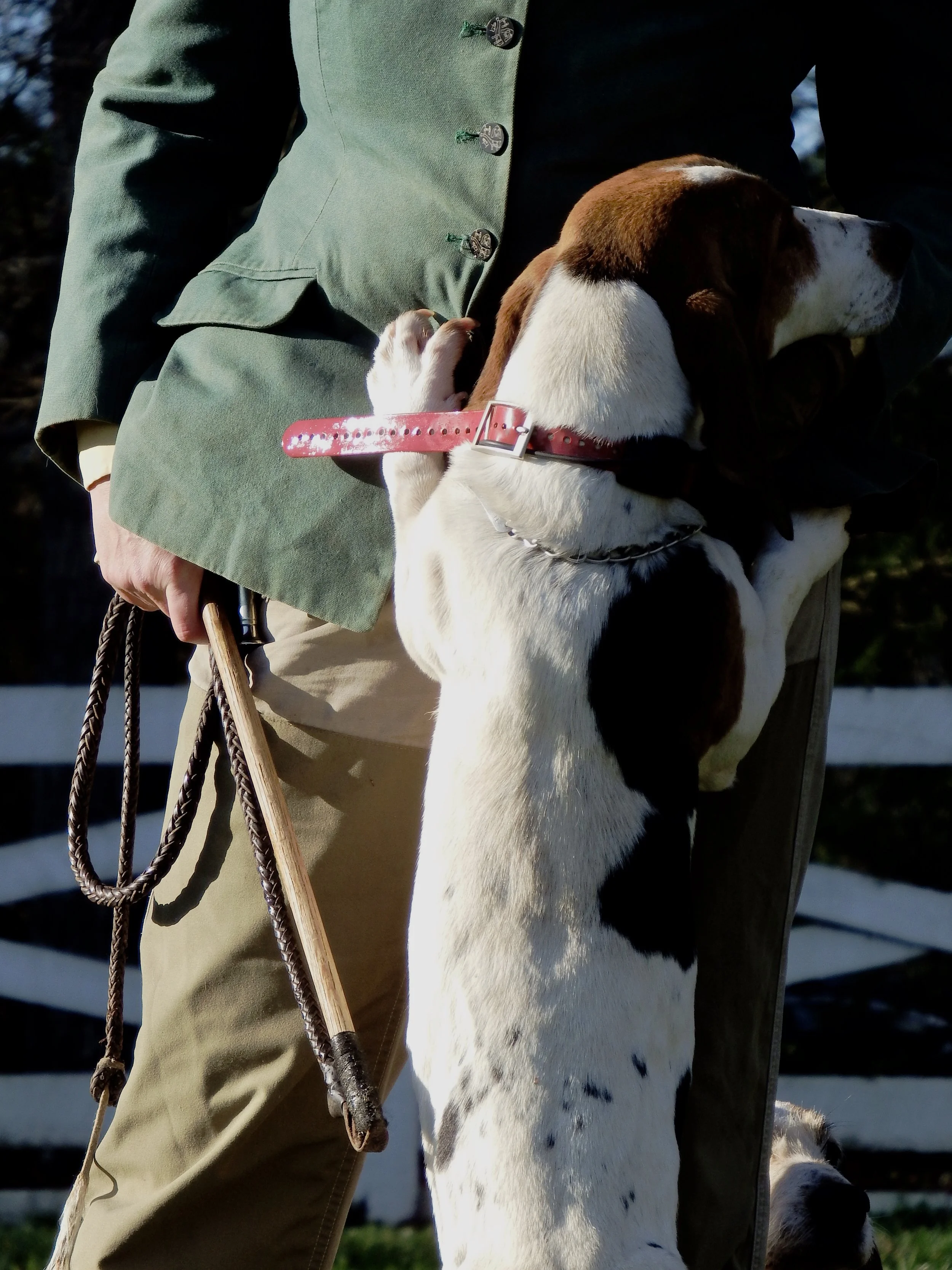 Hound and Huntsman