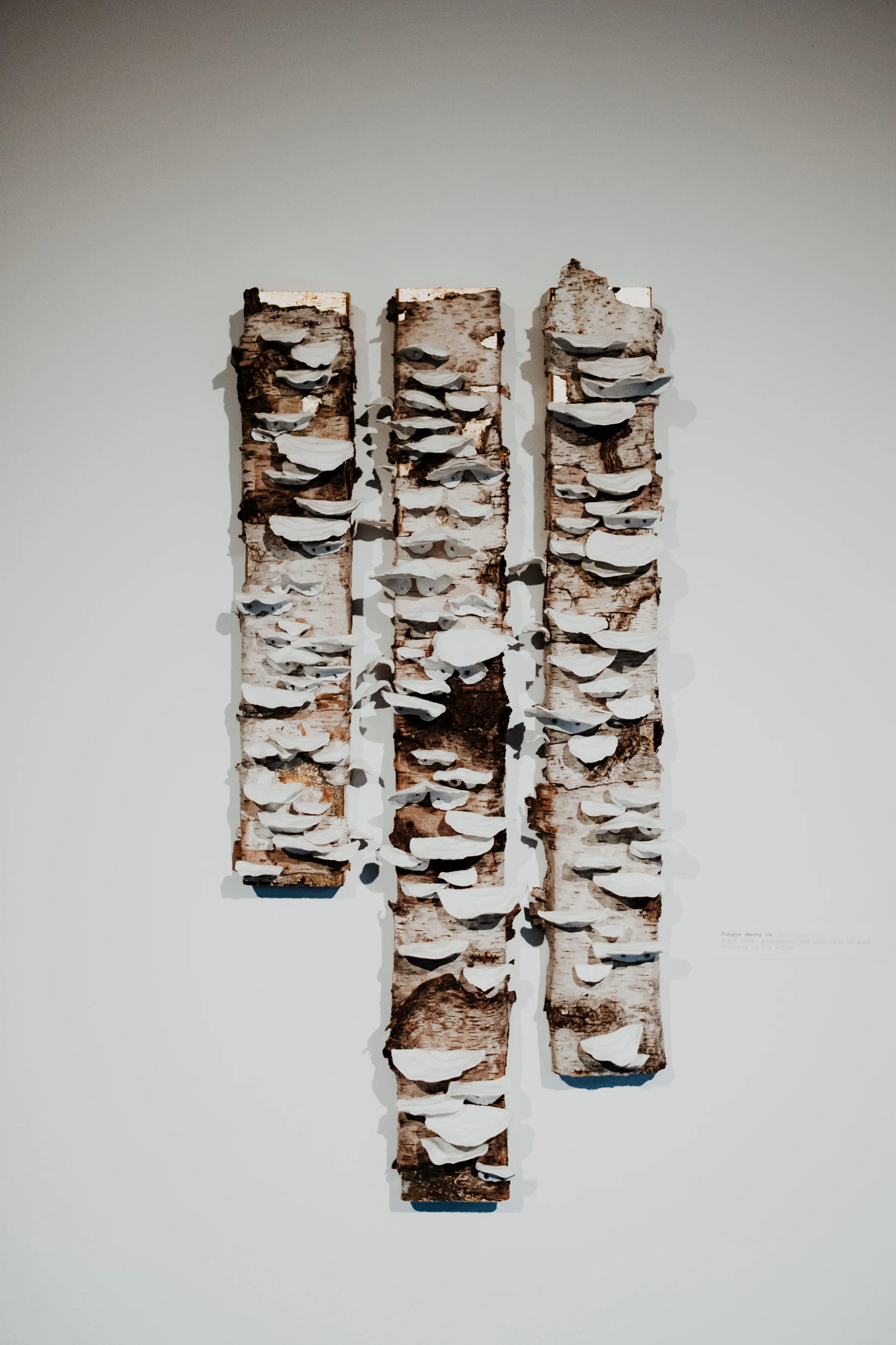 Fungus Among Us, 2018