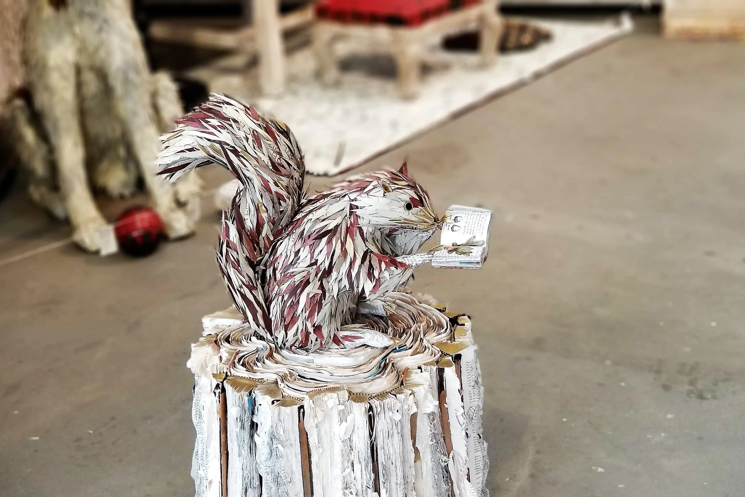 Forest Friend - Gathering Knowledge, 2018
