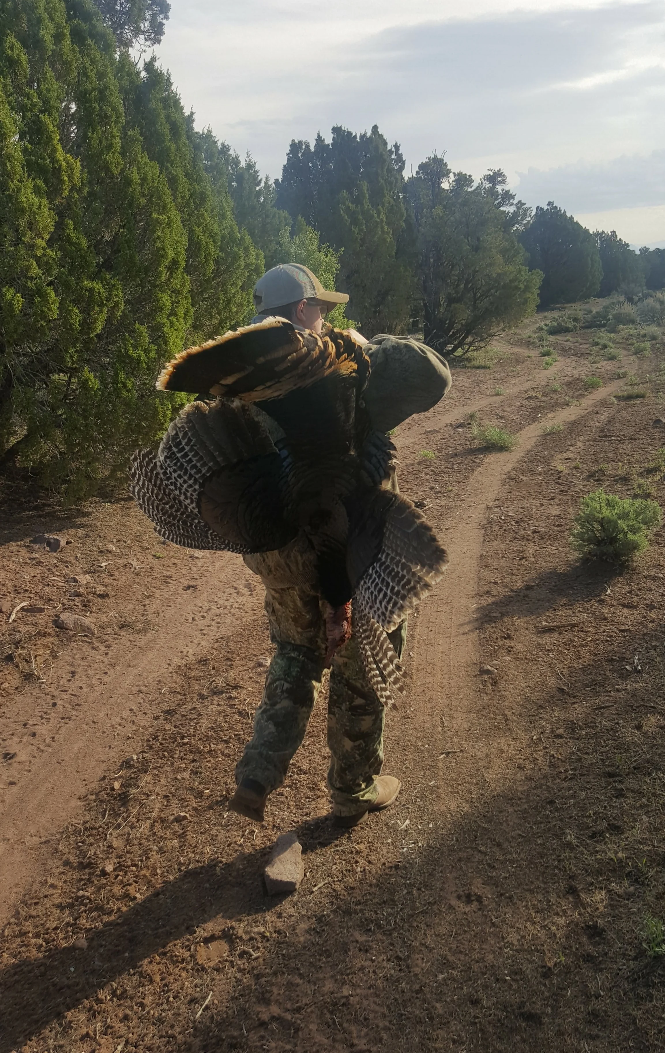 UTAH 2017 SOUTHERN REGION /RIO GRANDE