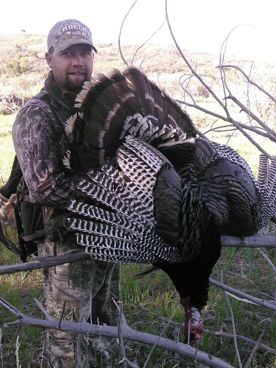 2017 GENERAL SEASON