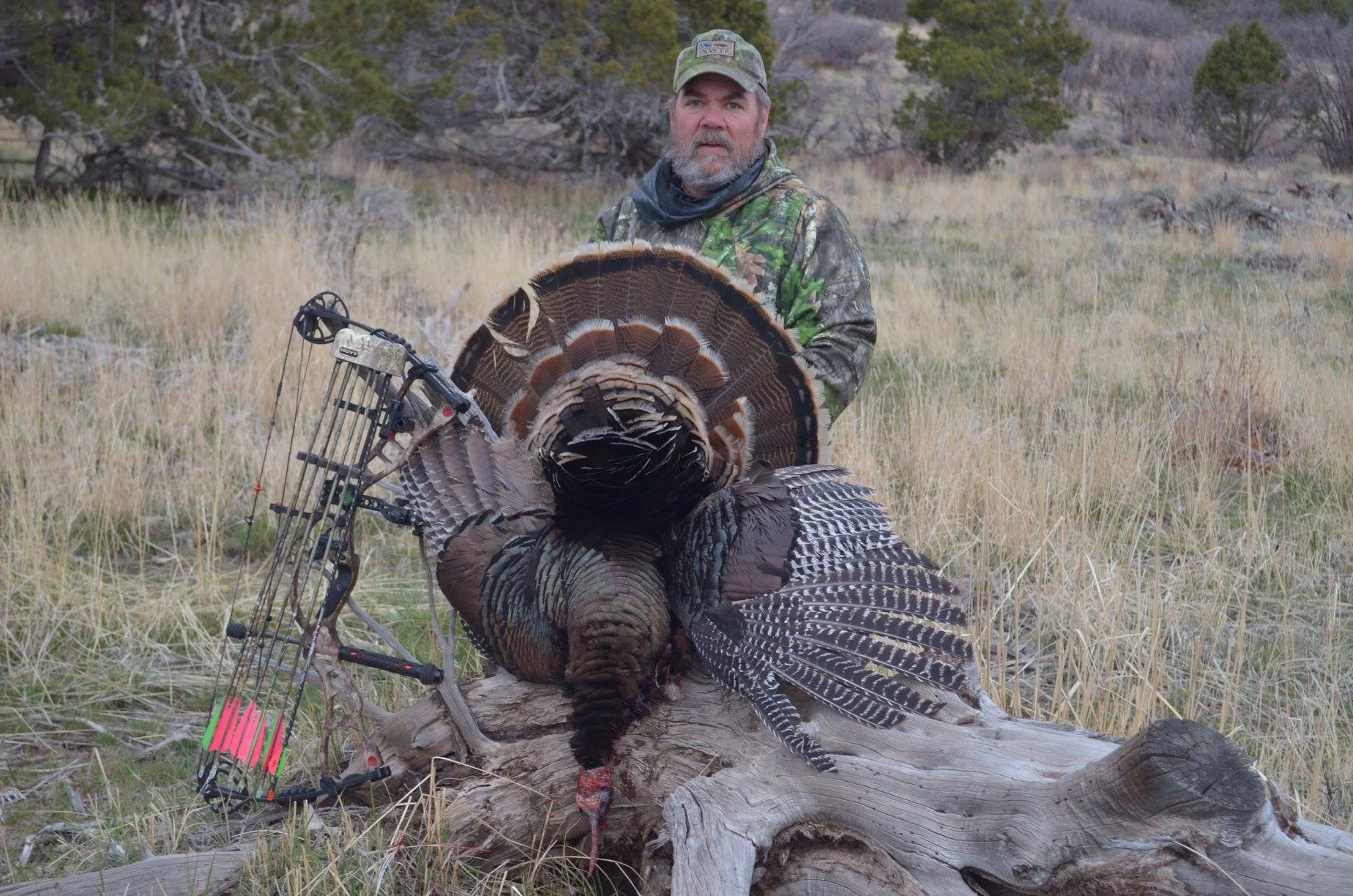 2018 turkey. great job lynn!