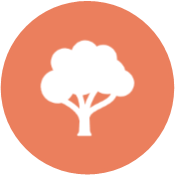 Open Space Icon.png