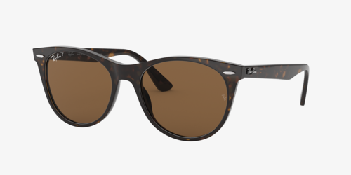 Kate's Sunglasses
