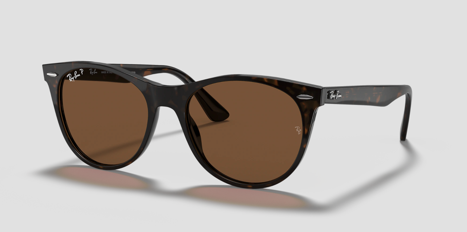 Ray Ban Wayfarer II.png