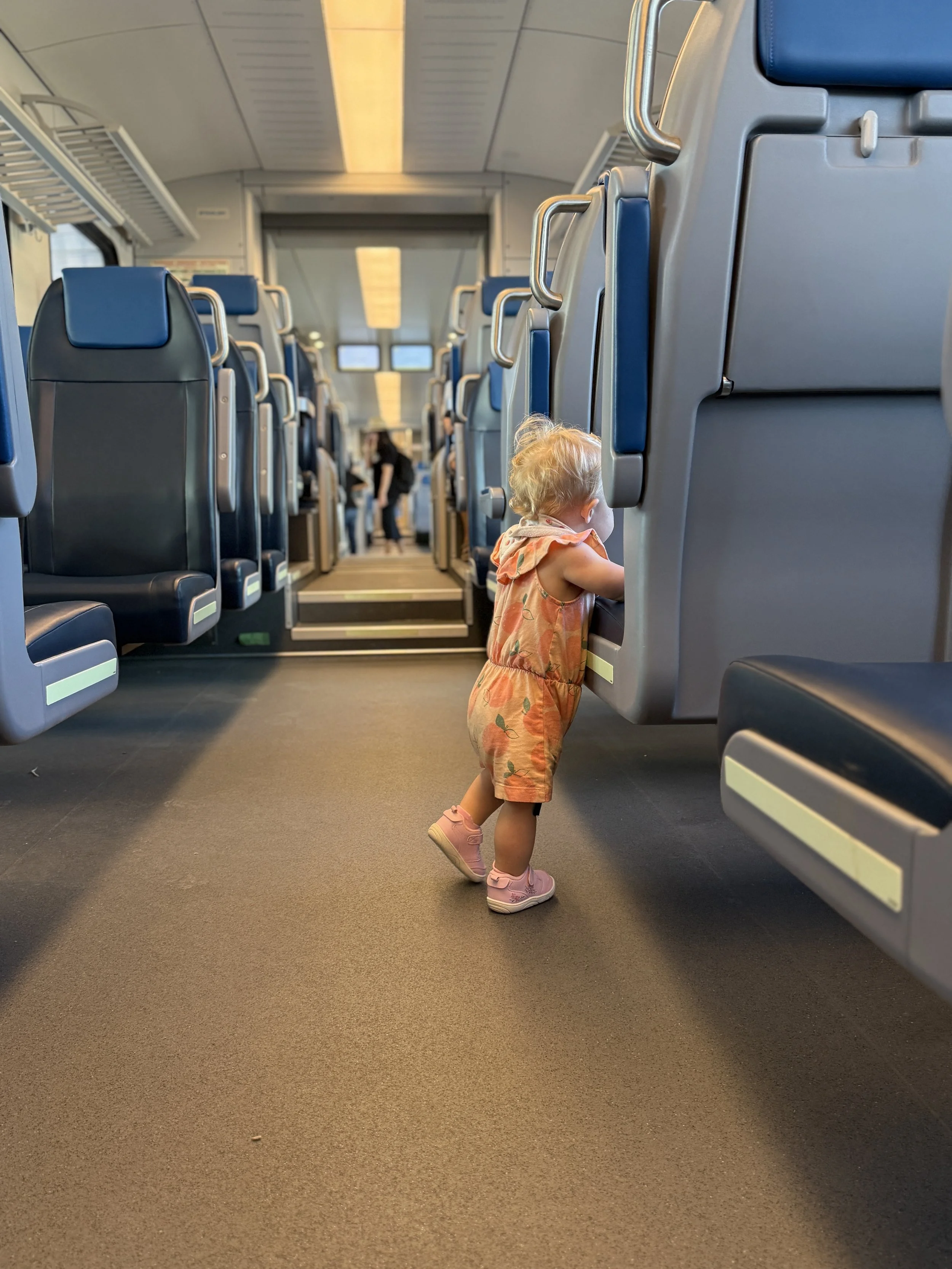 Silver Line Interior