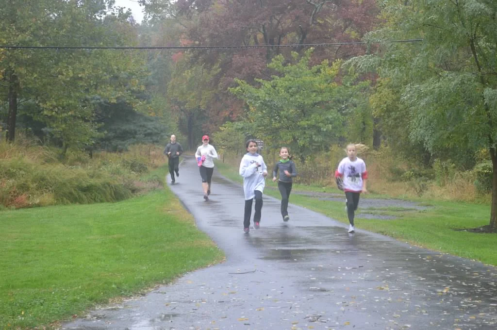 run8.jpg