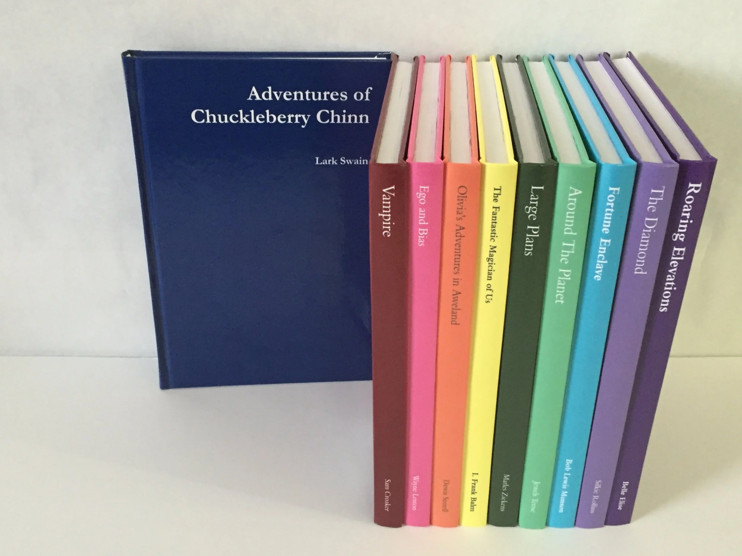 Secret Diary Journal: The Adventures of Chuckleberry Chinn