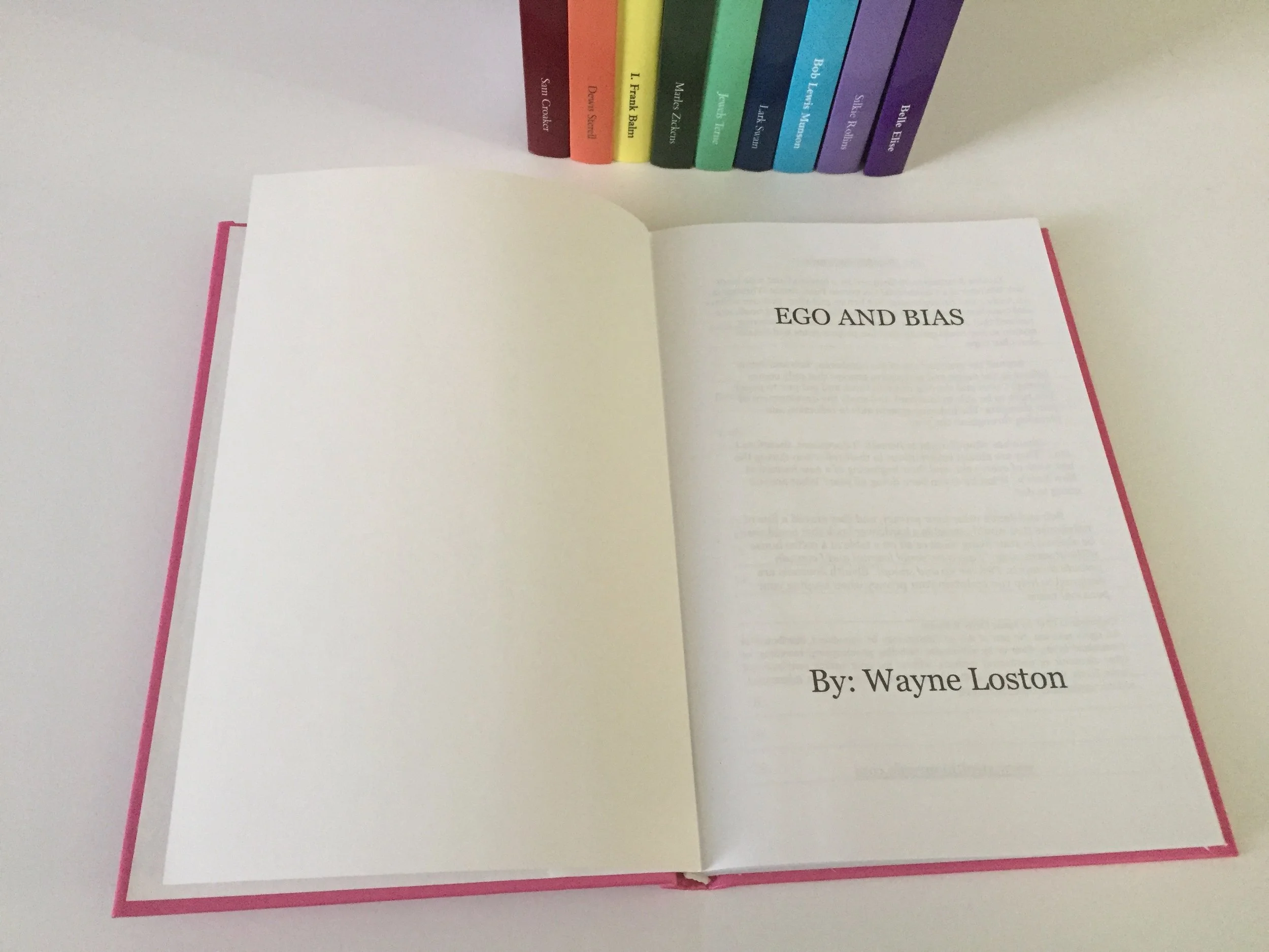 Secret Diary Journal: Ego and Bias