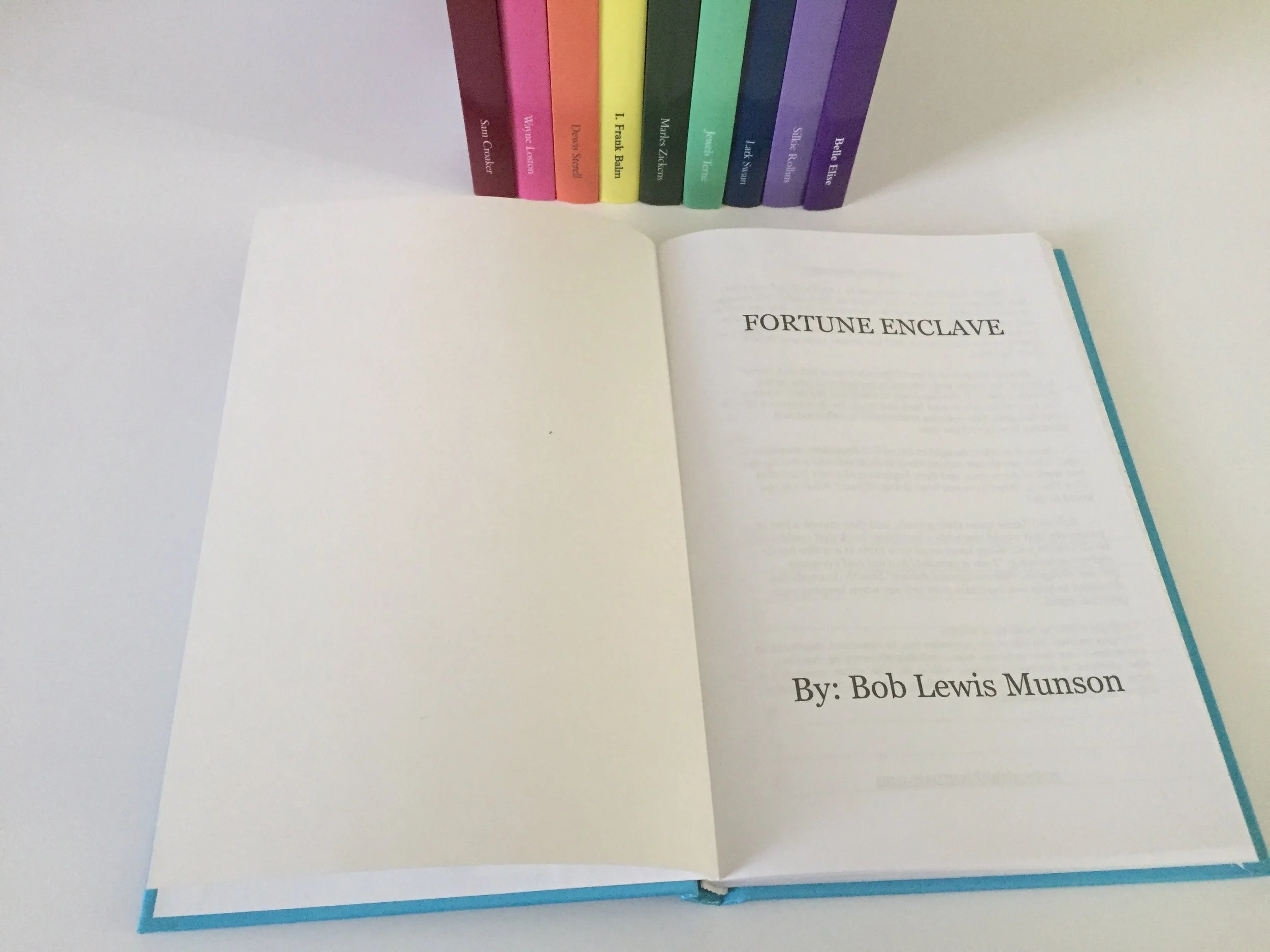 Secret Diary Journal: Fortune Enclave