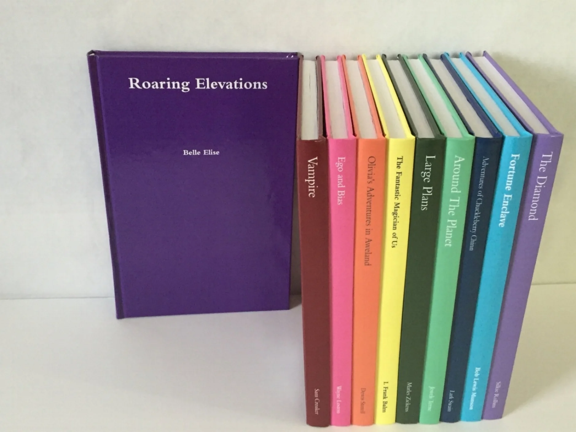 Secret Diary Journal: Roaring Elevations