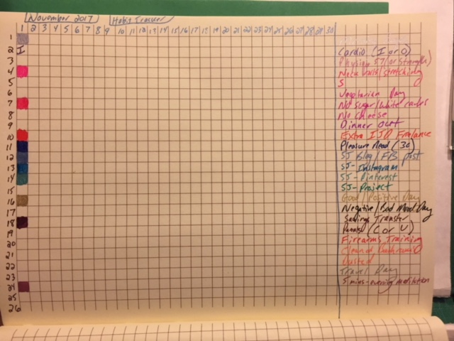 Habit tracker for November 2017. 
