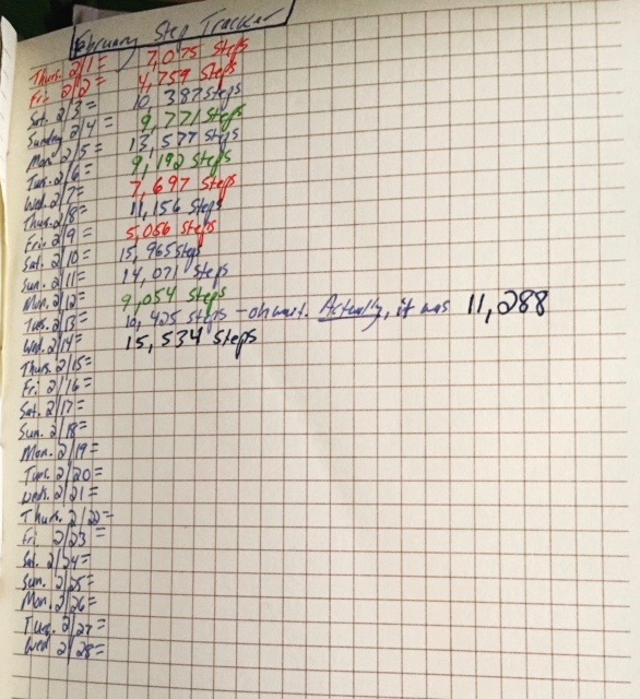 Blue means I nailed it! Green means I came SO close that I really consider that to be a "win" for the day; and red means I flat out failed the goal that day. Dang!