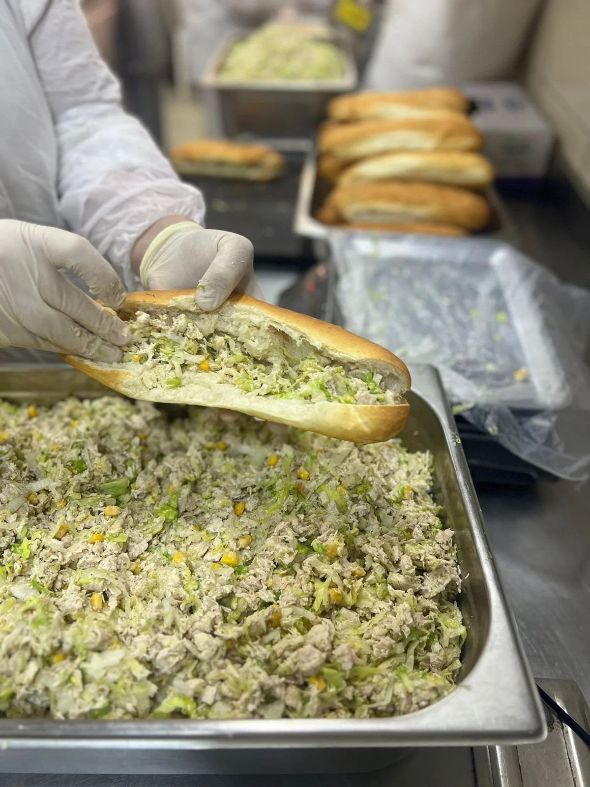 WhatsApp Image 2026-02-08 at 08.04.28.jpeg