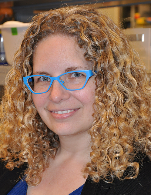 Karla Kaun '03