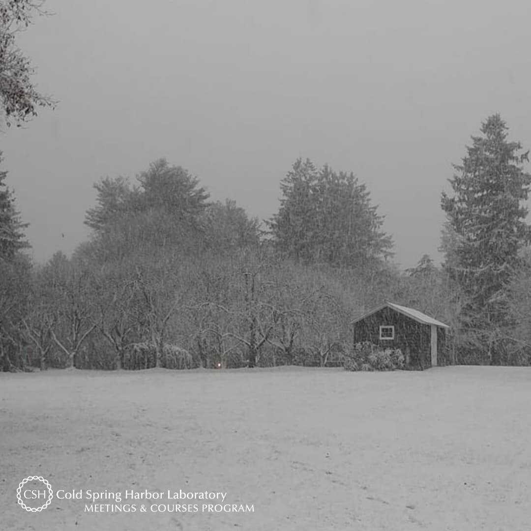 Flashback Friday to when the 2018 Scientific Writing Retreat also became a snowy getaway for its participants! Our professional development workshop is held on the stately grounds that is @cshlbanbury and returns next week to assist another batch of 