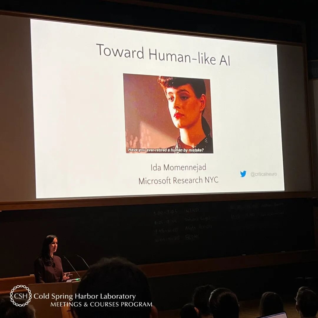 The second meeting of From Neuroscience to Artificially Intelligent Systems (NAISys) took place last week. As expected, presenters incorporated interesting imagery to their presentations like this one. This image captured by Dr. Jasmine Berry is of D