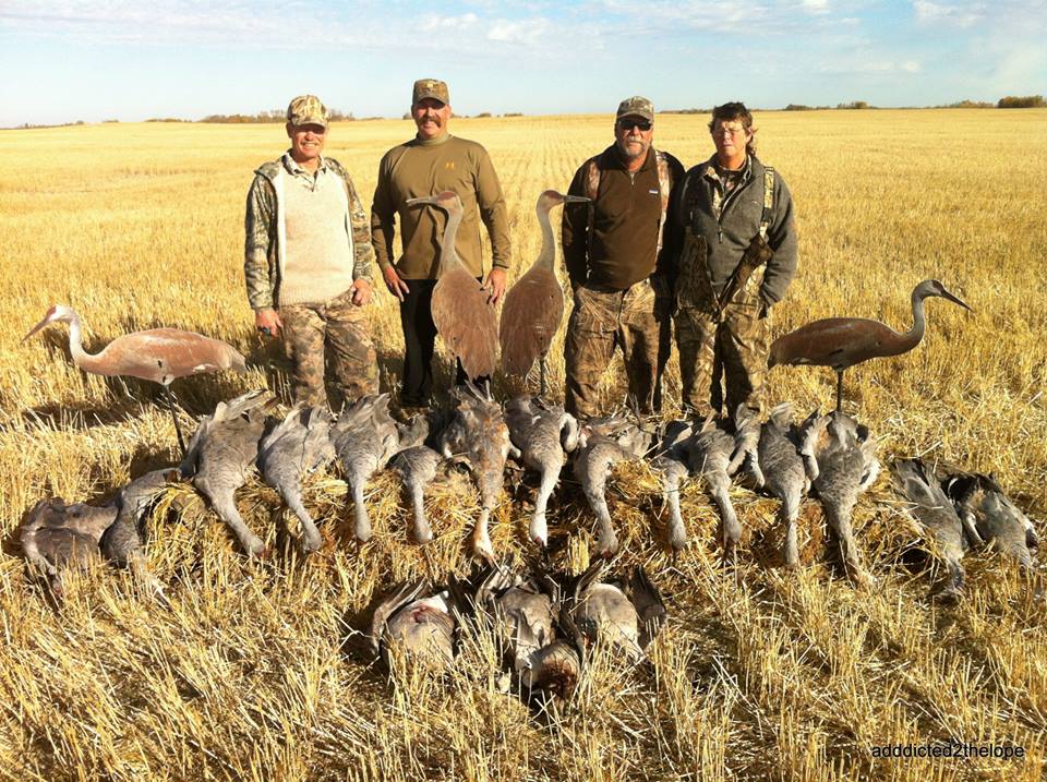 Sand Hill Crane Hunt