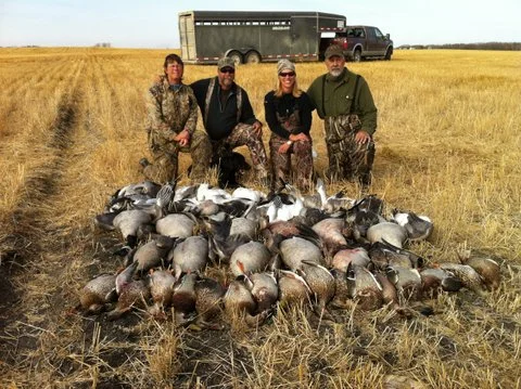  Great goose hunting hosted by Eastern Sky Guiding 