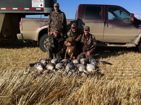  Field hunt from layout blinds -&nbsp;Saskatchewan Canada  