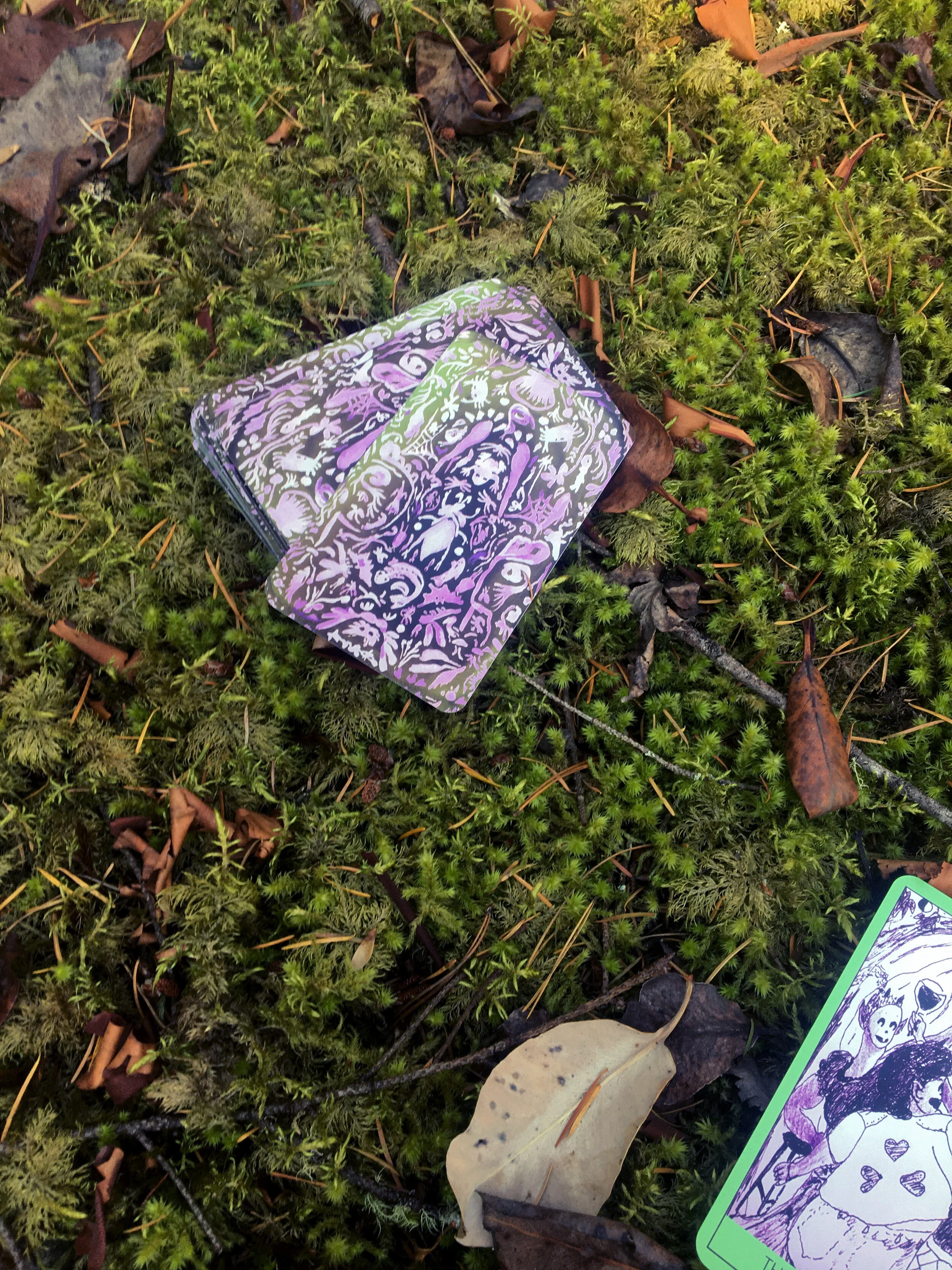 Ebb_Bayley_Metamorphic tarot 1.JPG