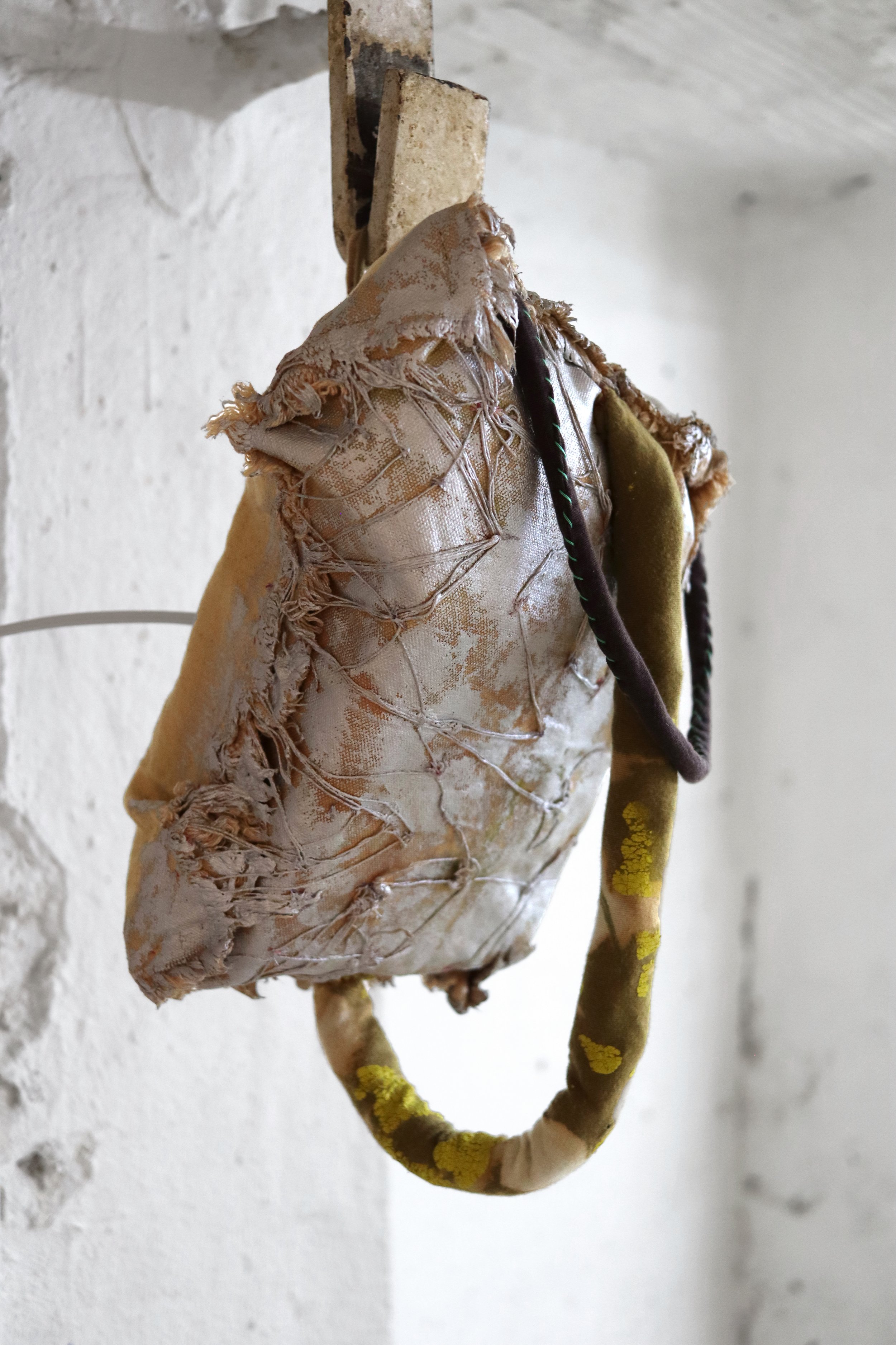 Bog_Bodies_speaker 1.JPG