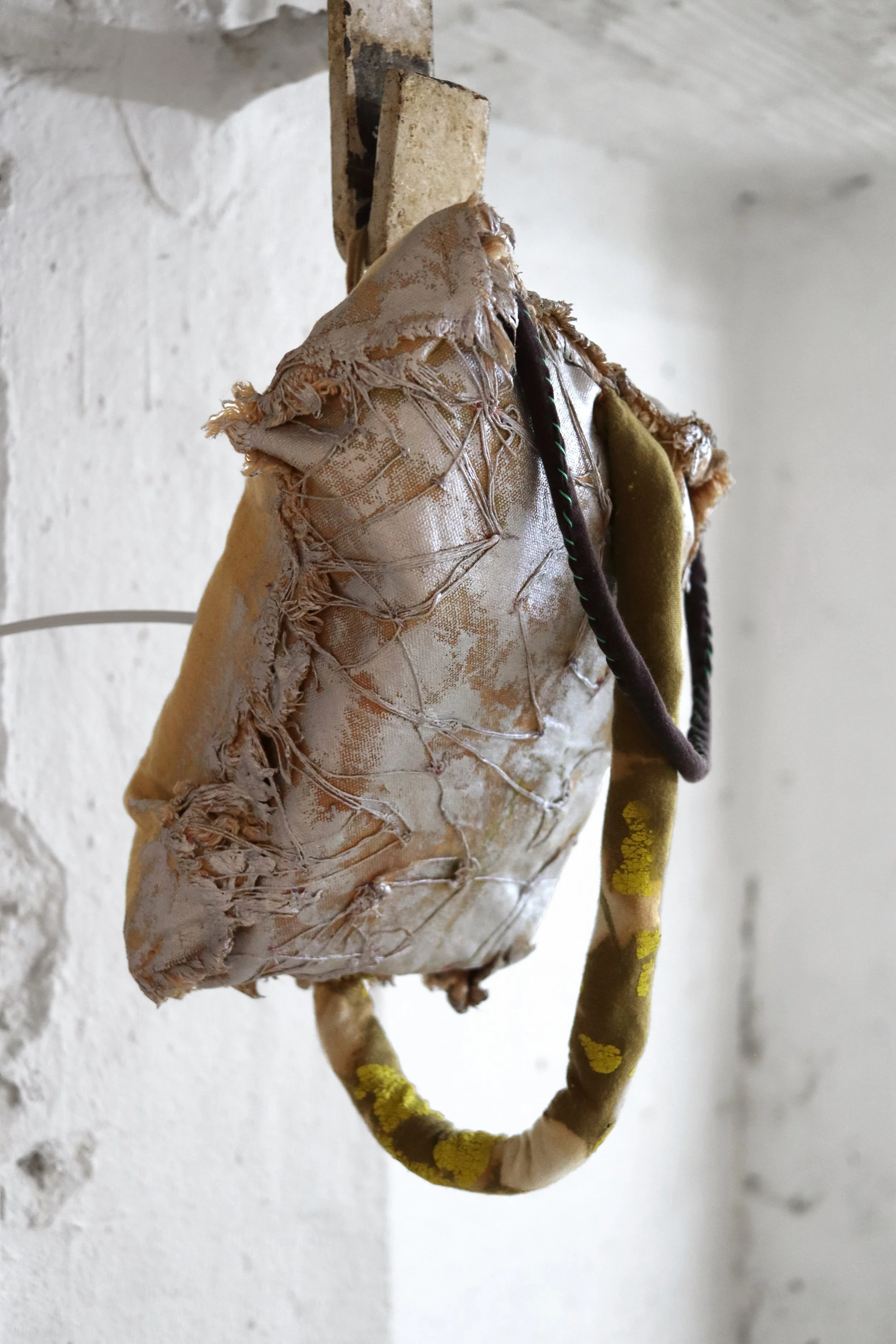 Bog_Bodies_speaker 1.JPG