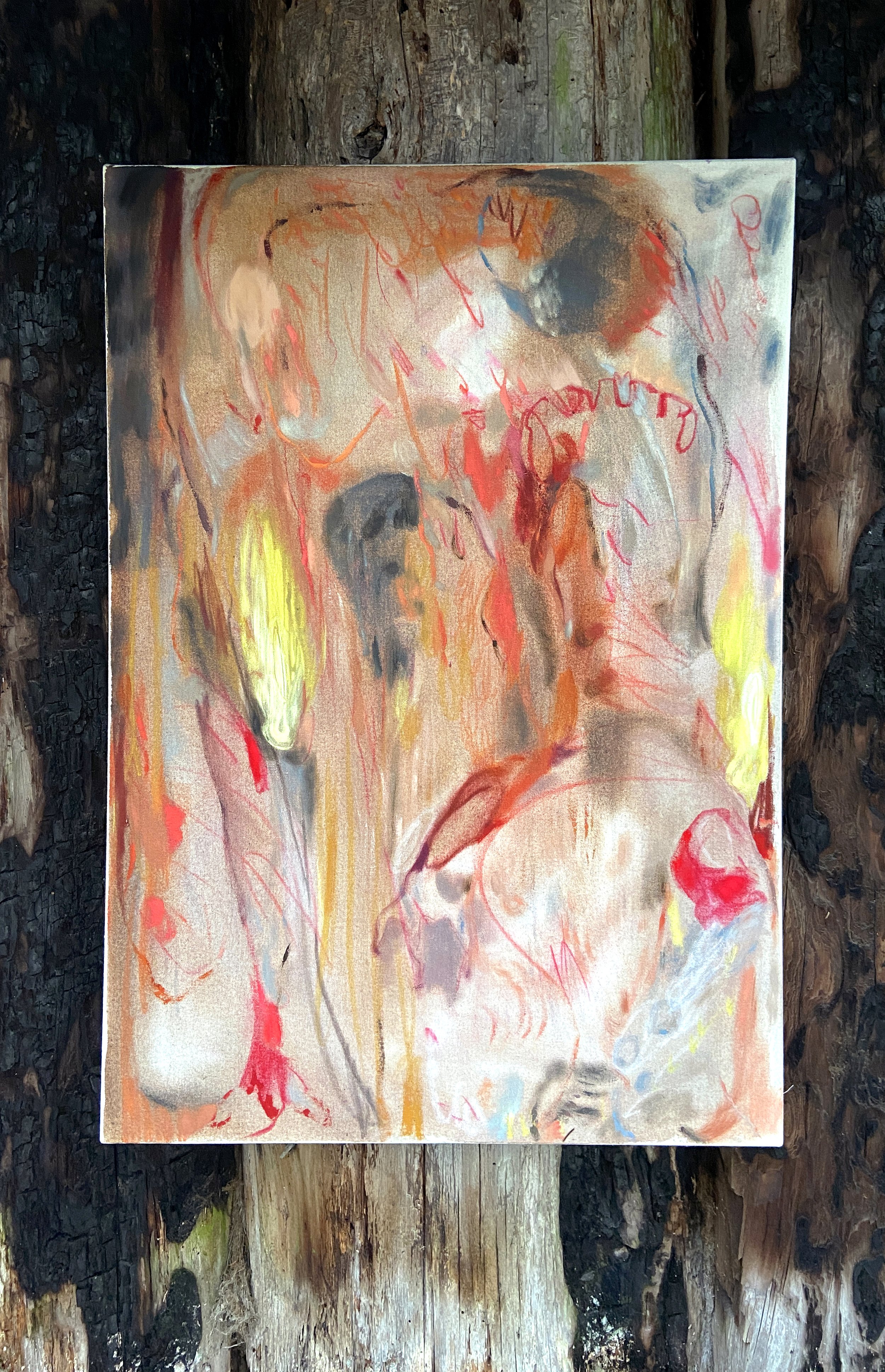 Ebb_Bayley_Owl sounds at night.JPG