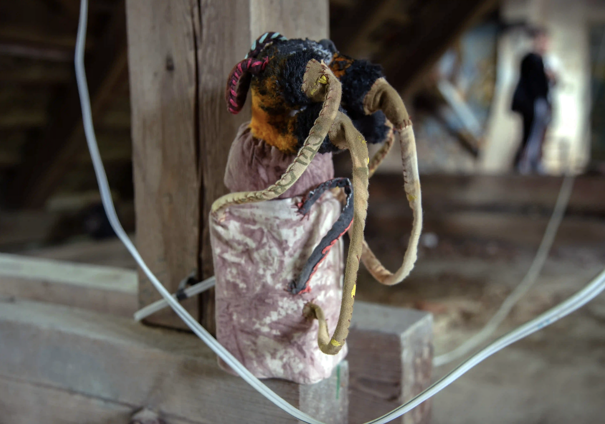 Ebb_Bayley_Bog Bodies speakers.png