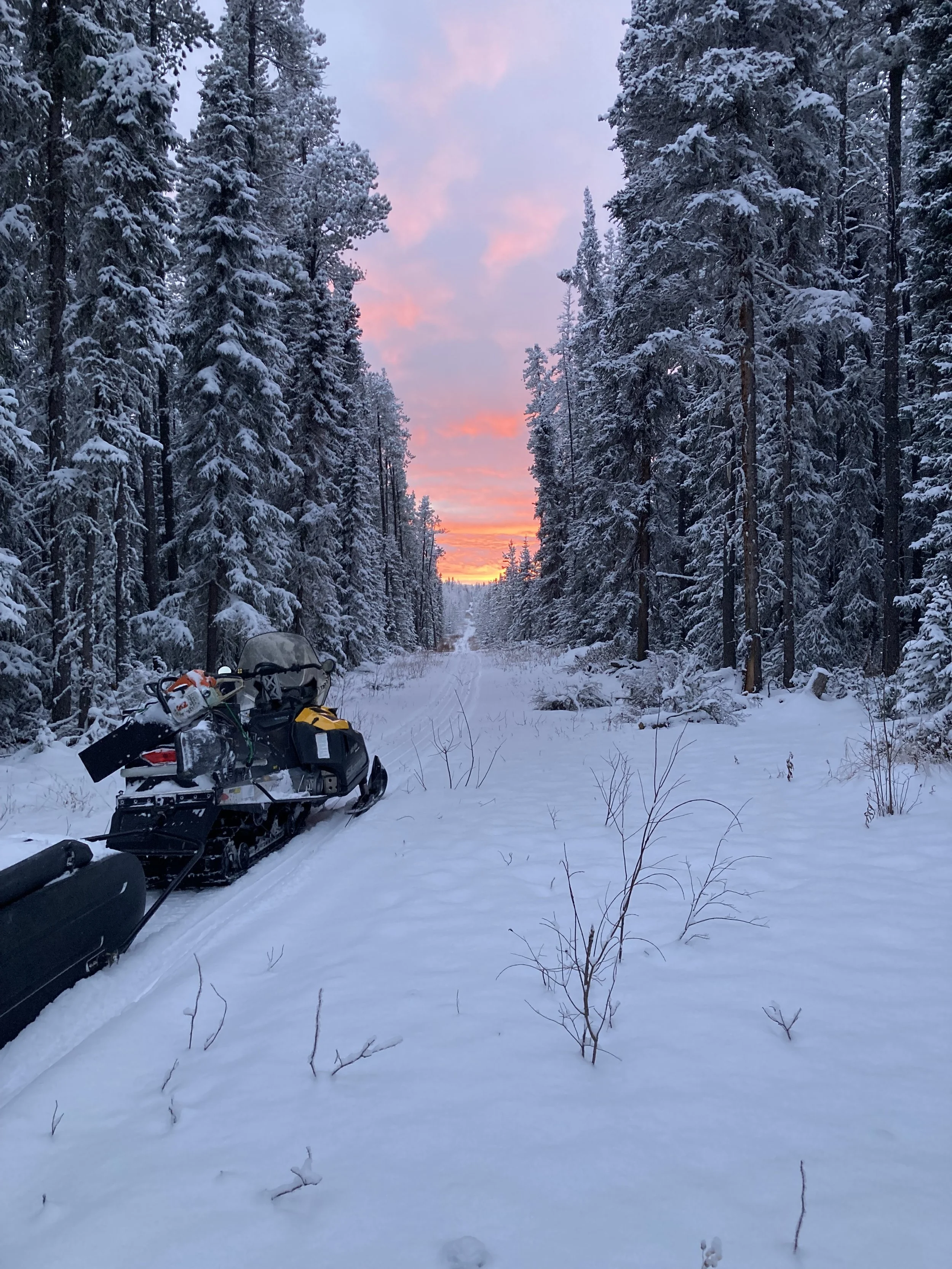 Trail.jpg