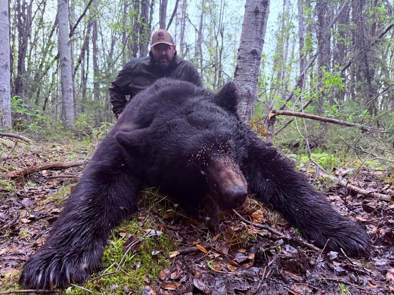 alex bear.JPG