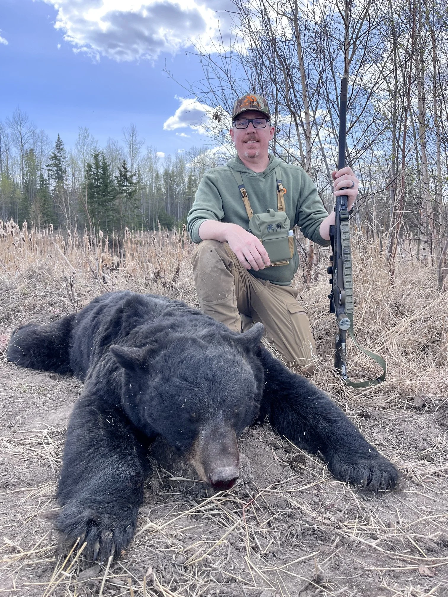 bear.jpeg