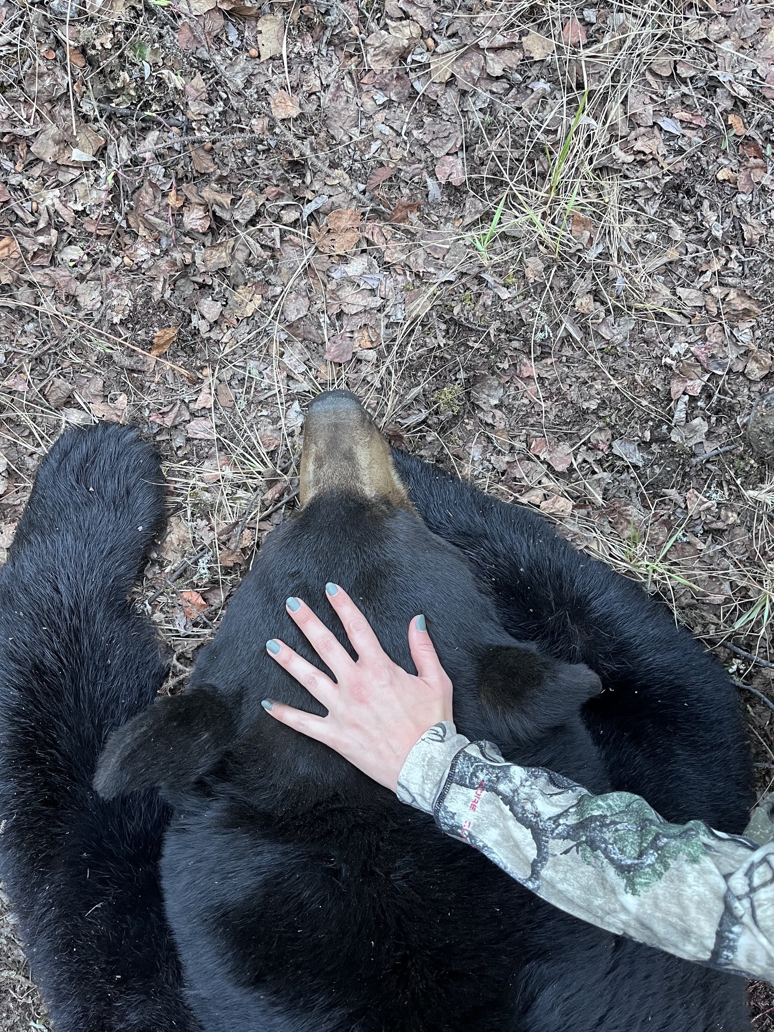 Hailey hand bear.jpeg