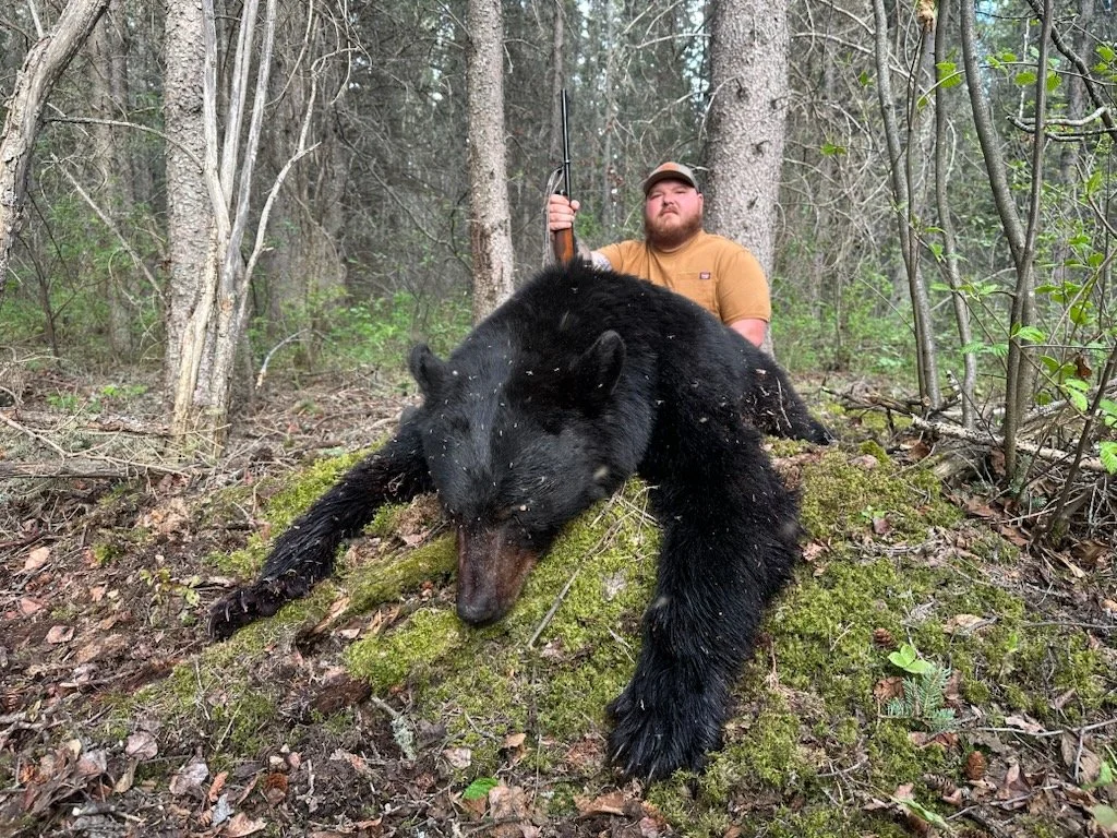 lc bear.JPG