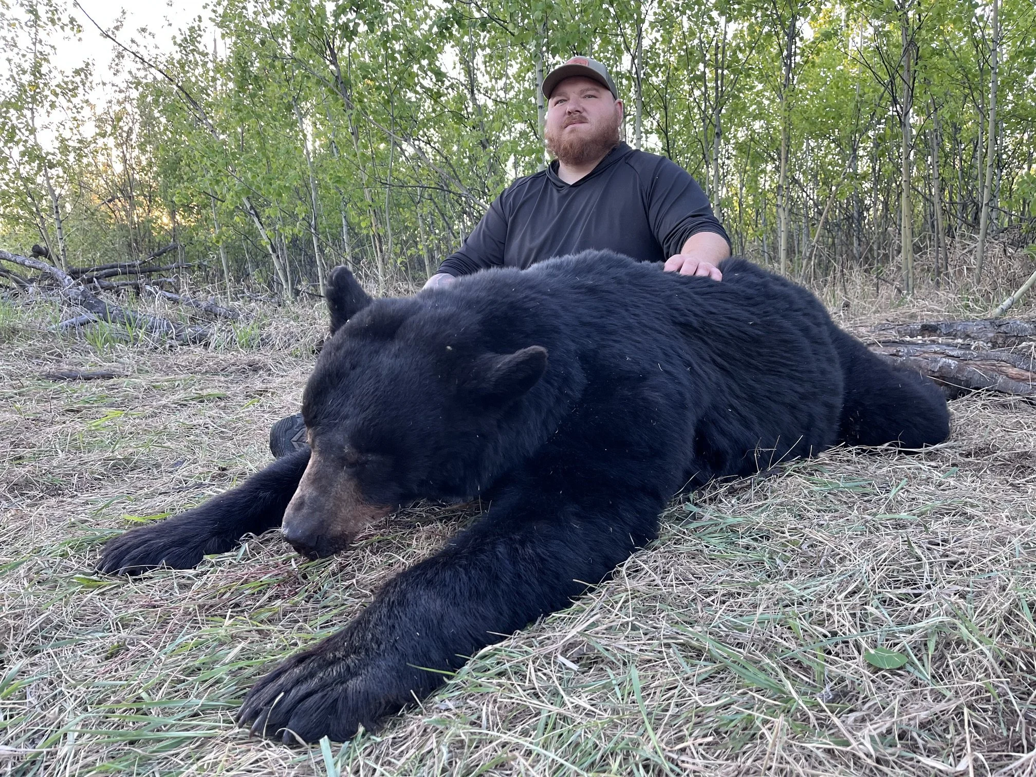 lc bear 2.jpeg