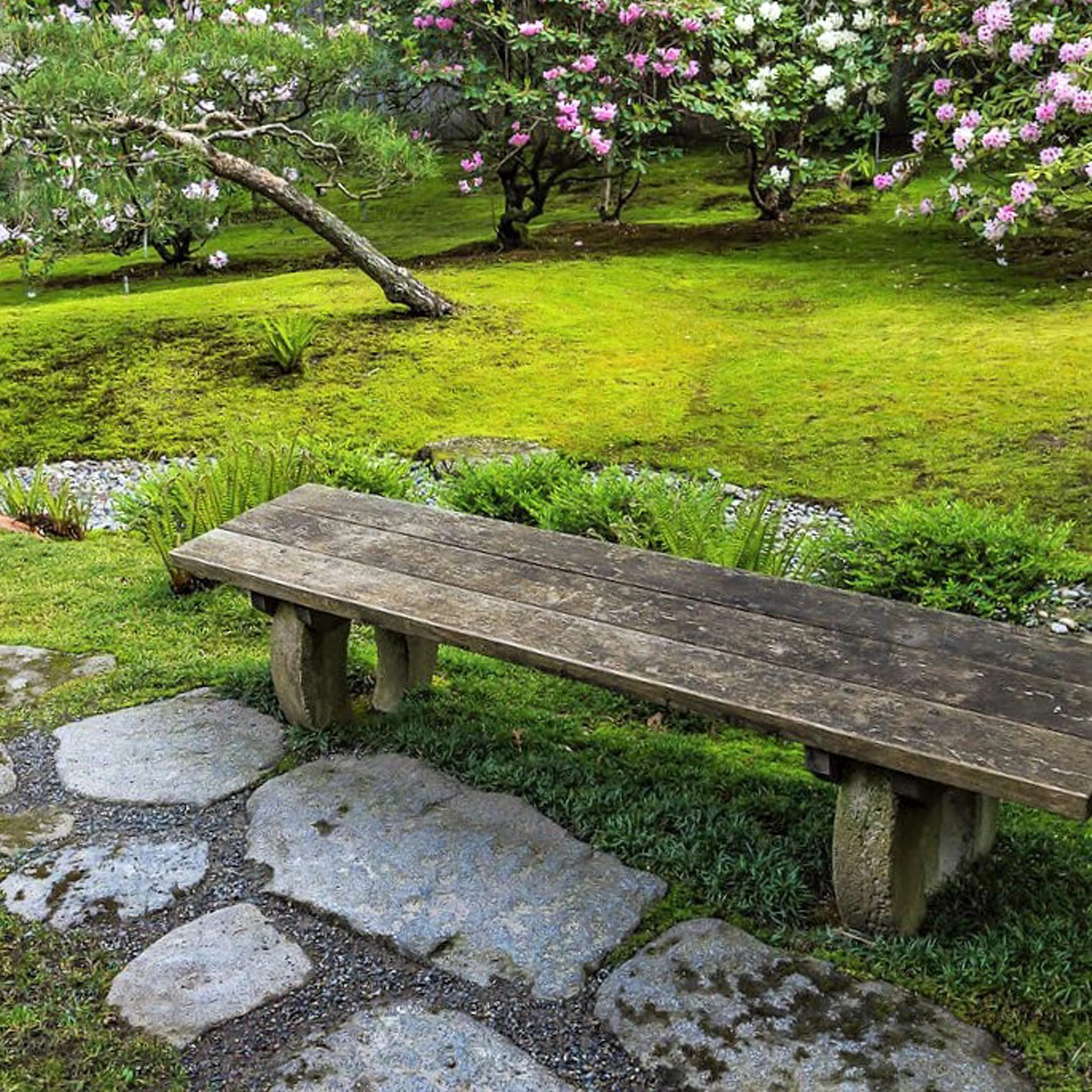 06_Bench_kipling_2022.jpg