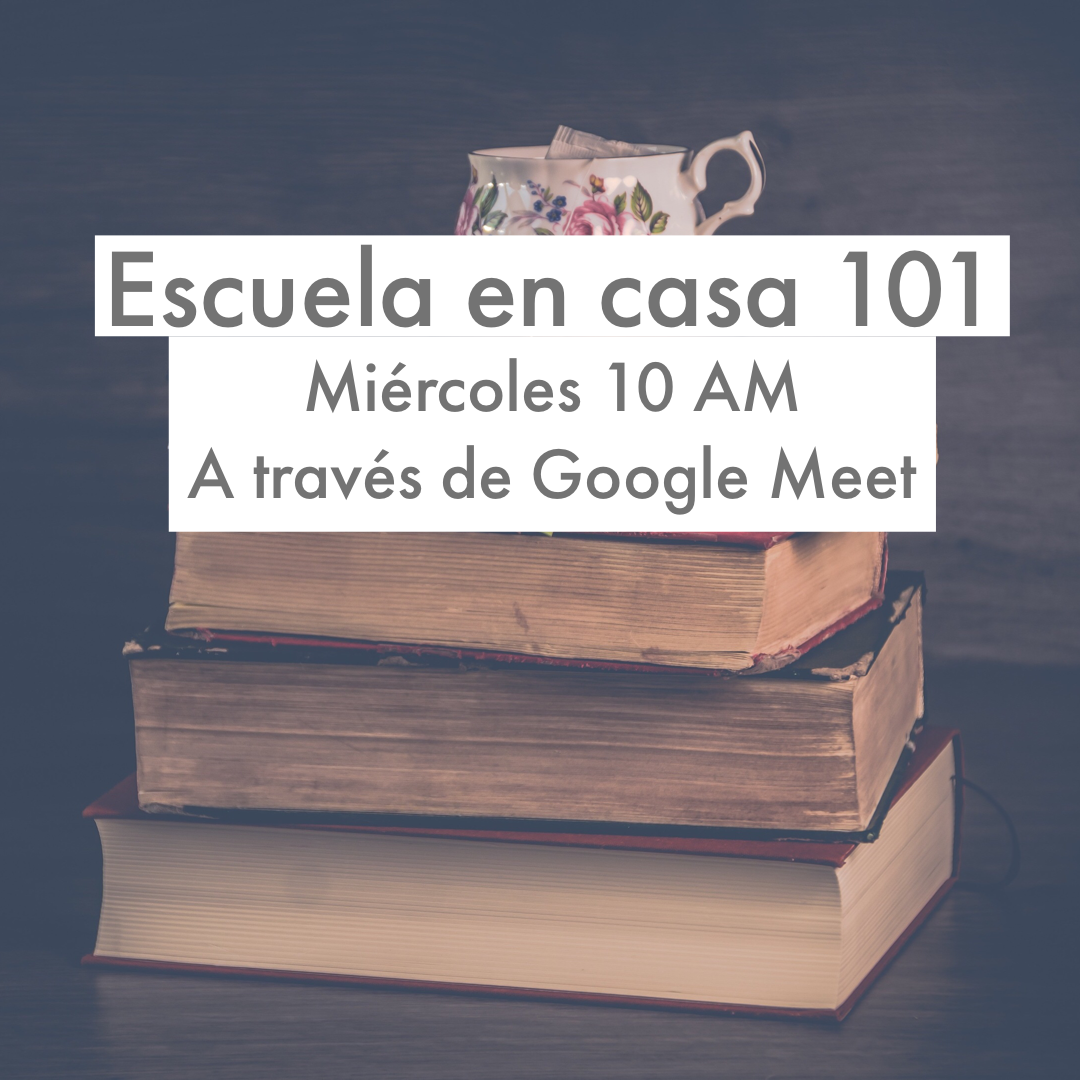 Homeschool 101 in SPANISH  