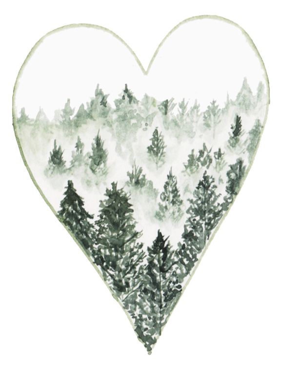 Screenshot 2019-09-12 at 12.39.12.png