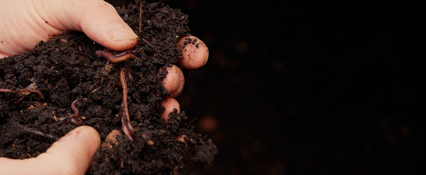 compost header.jpg