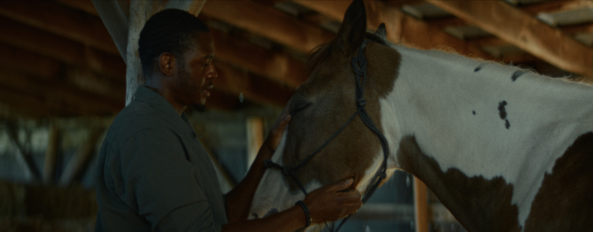 Short Film Impact Still 5.png