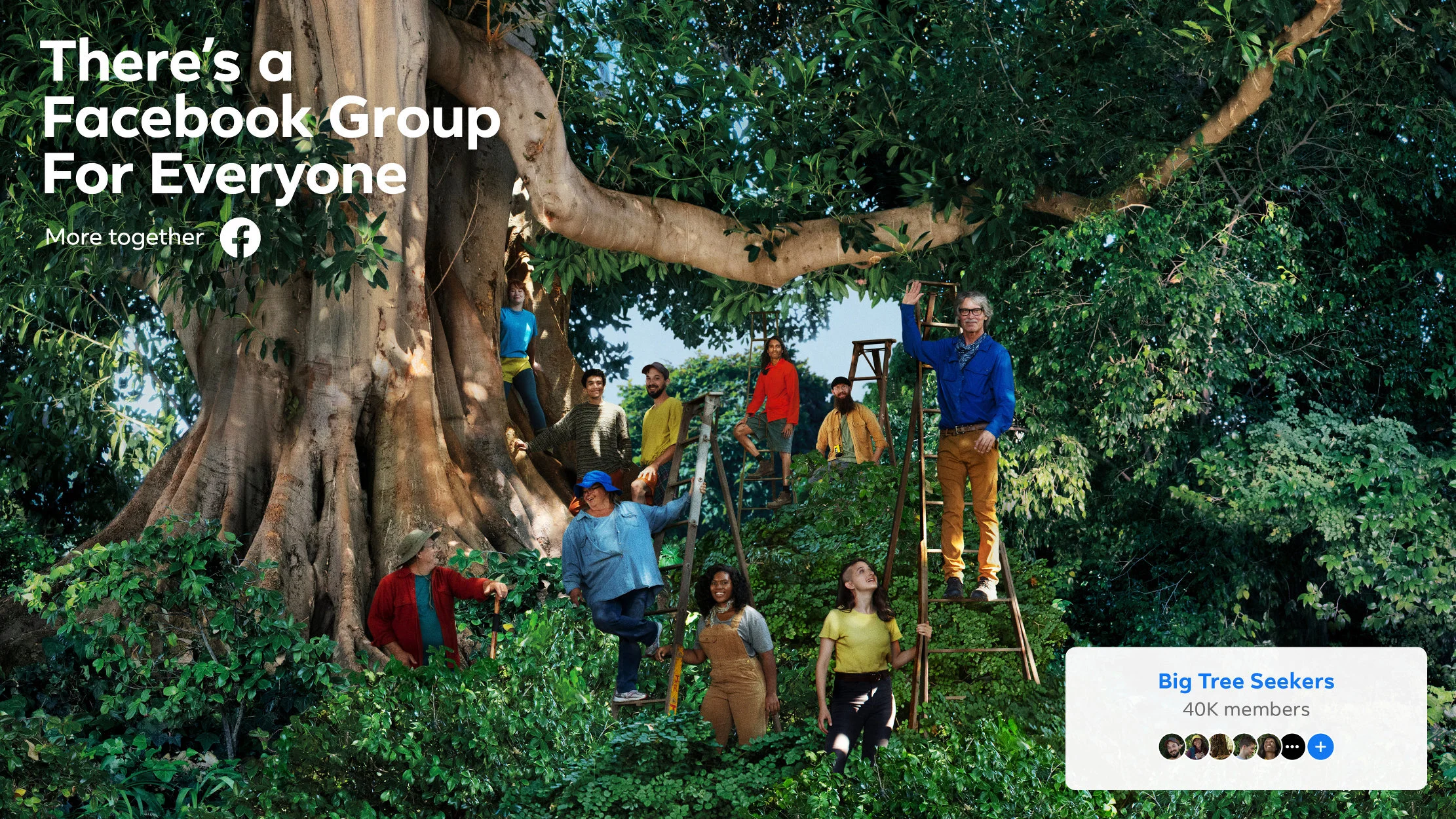 Tree-Facebook.jpg