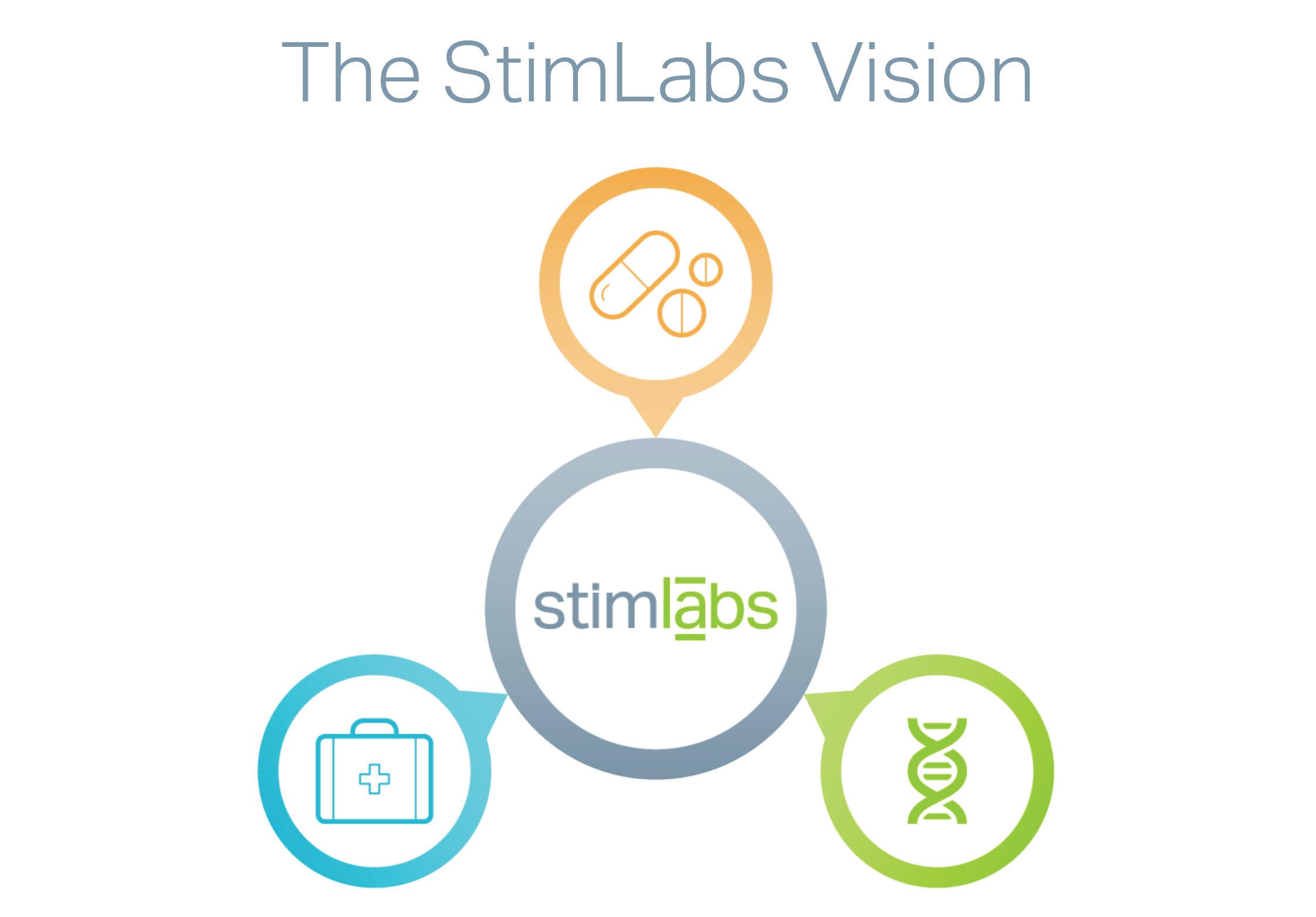 stimlabs_vision.png