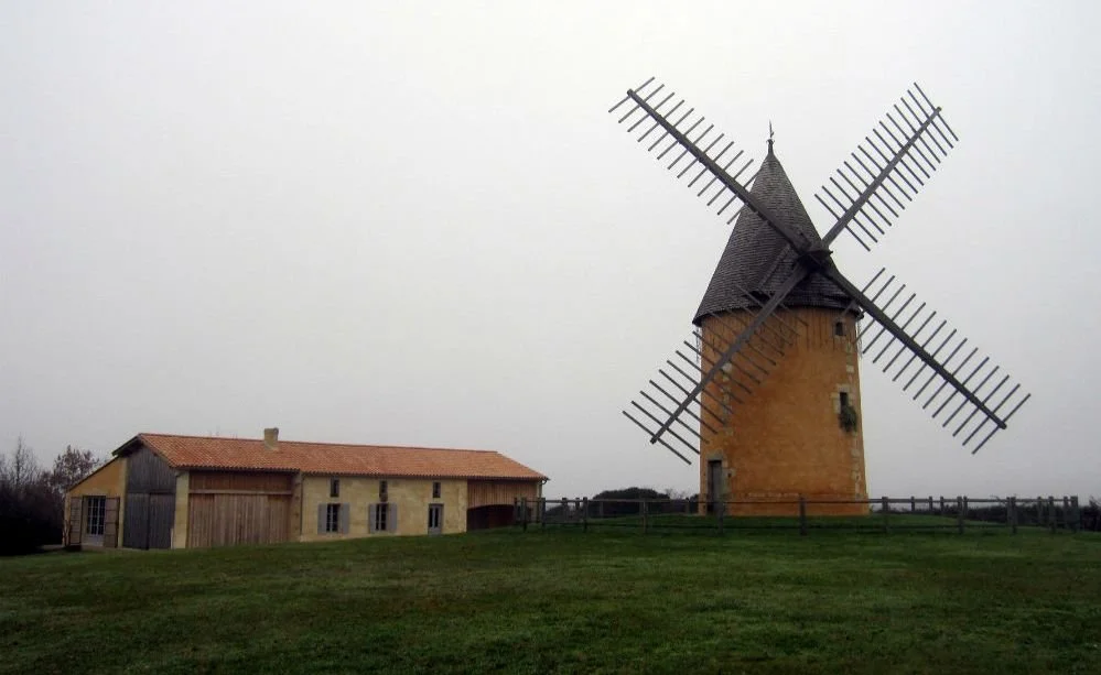 Mass Market 2023 Cabs and more from Costco and Sam's Club