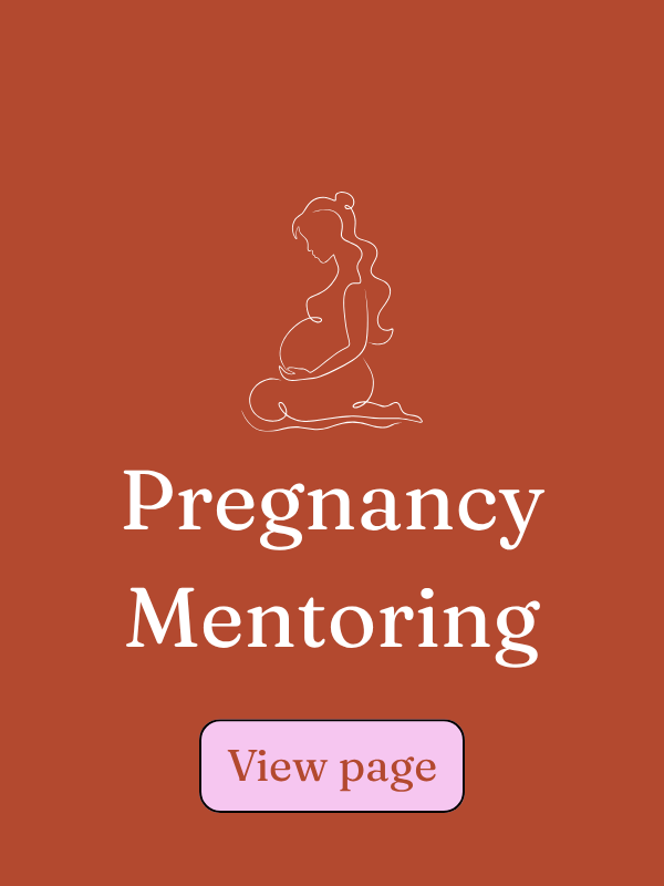 Illustration of a pregnant woman with long hair, sitting and holding her belly, on a reddish-brown background with text that reads 'Pregnancy Mentoring' and a button labeled 'View page'.