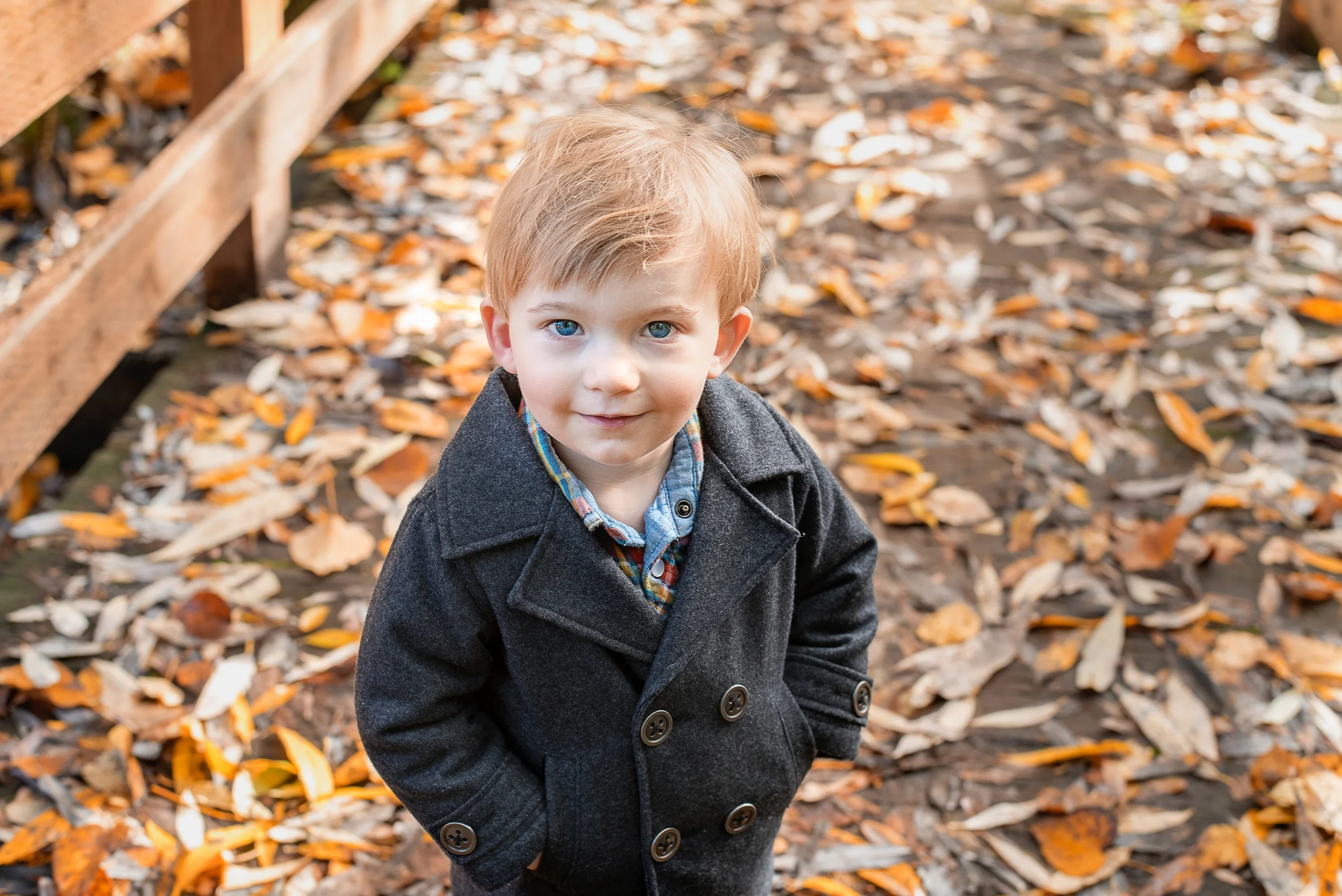 DSC_7420_fall.jpg