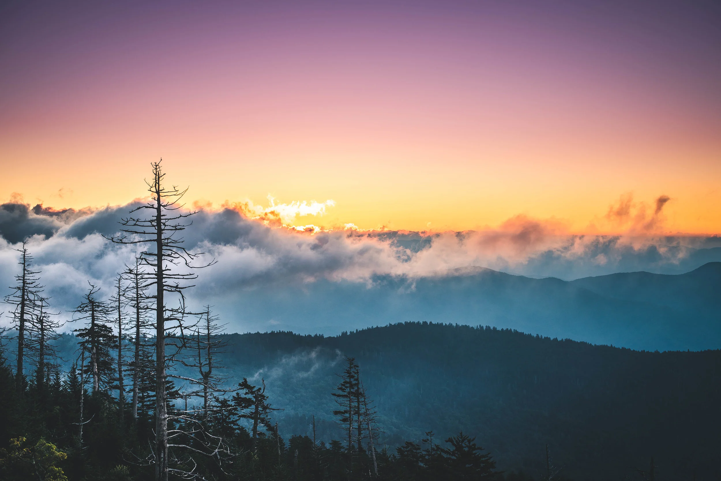 Clingman's Dome is the highest point in the Smokies and we got up early on the first morning to catch sunrise peaking over the clouds rolling off the mountain beside us. This location is the place to get layers and layers that set the Smokies apart when it comes to mountain ranges in the US.