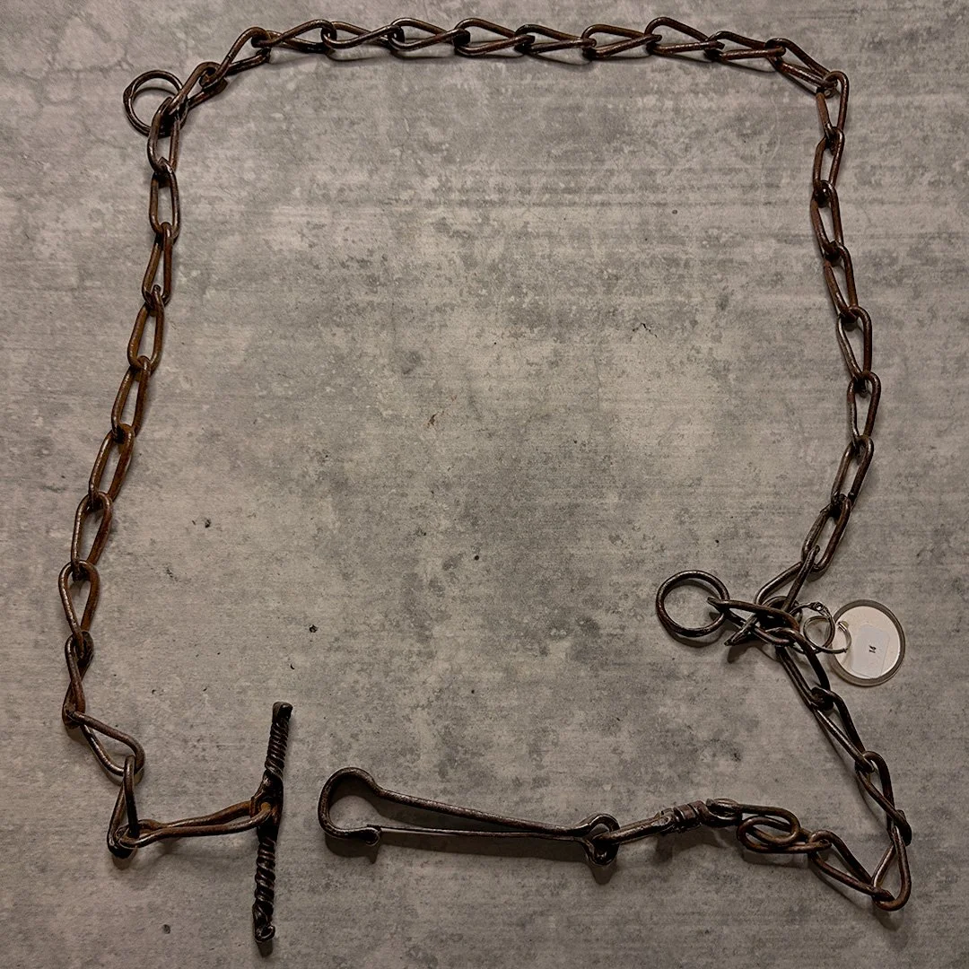 transport chain 14 2.jpg
