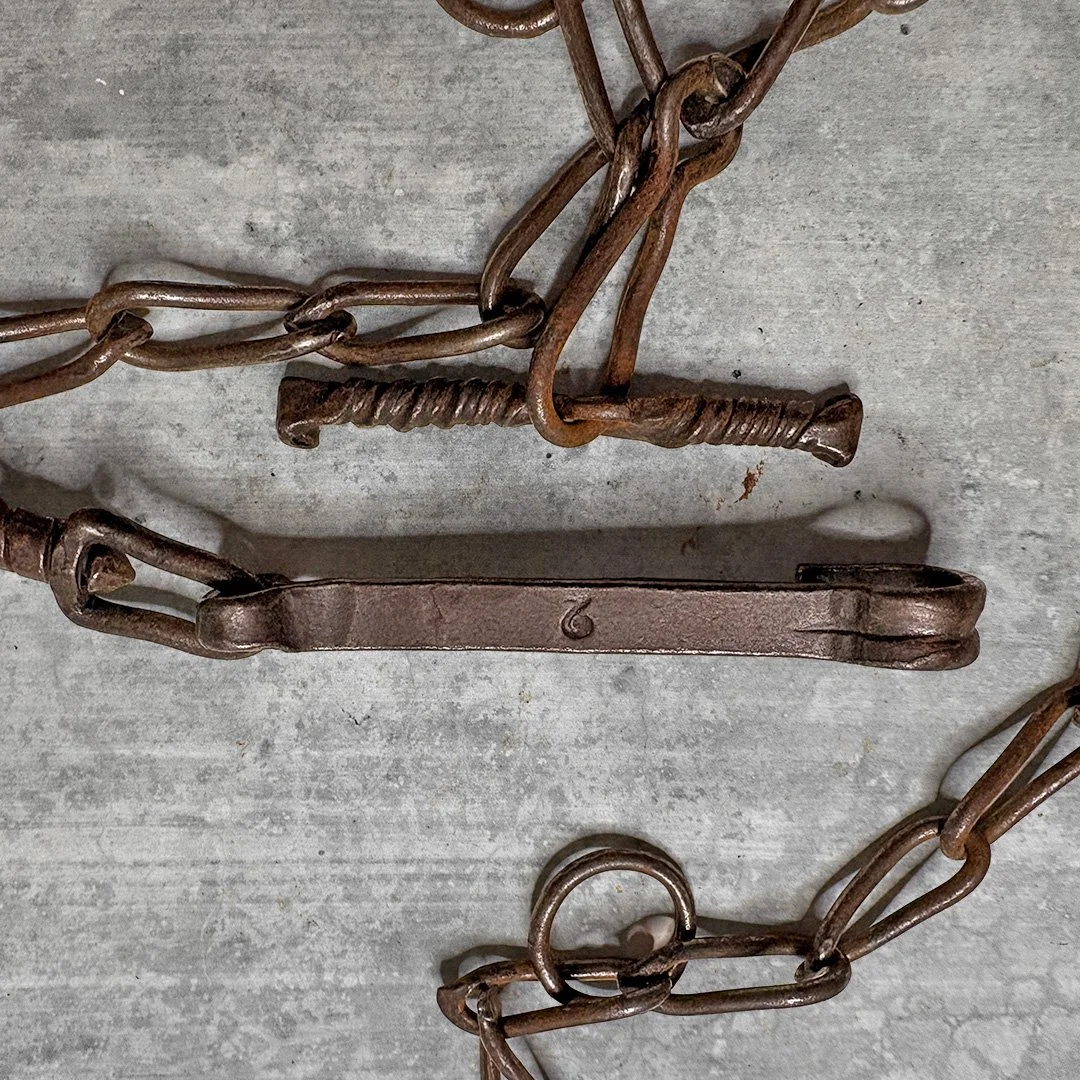 transport chain 14 3.jpg