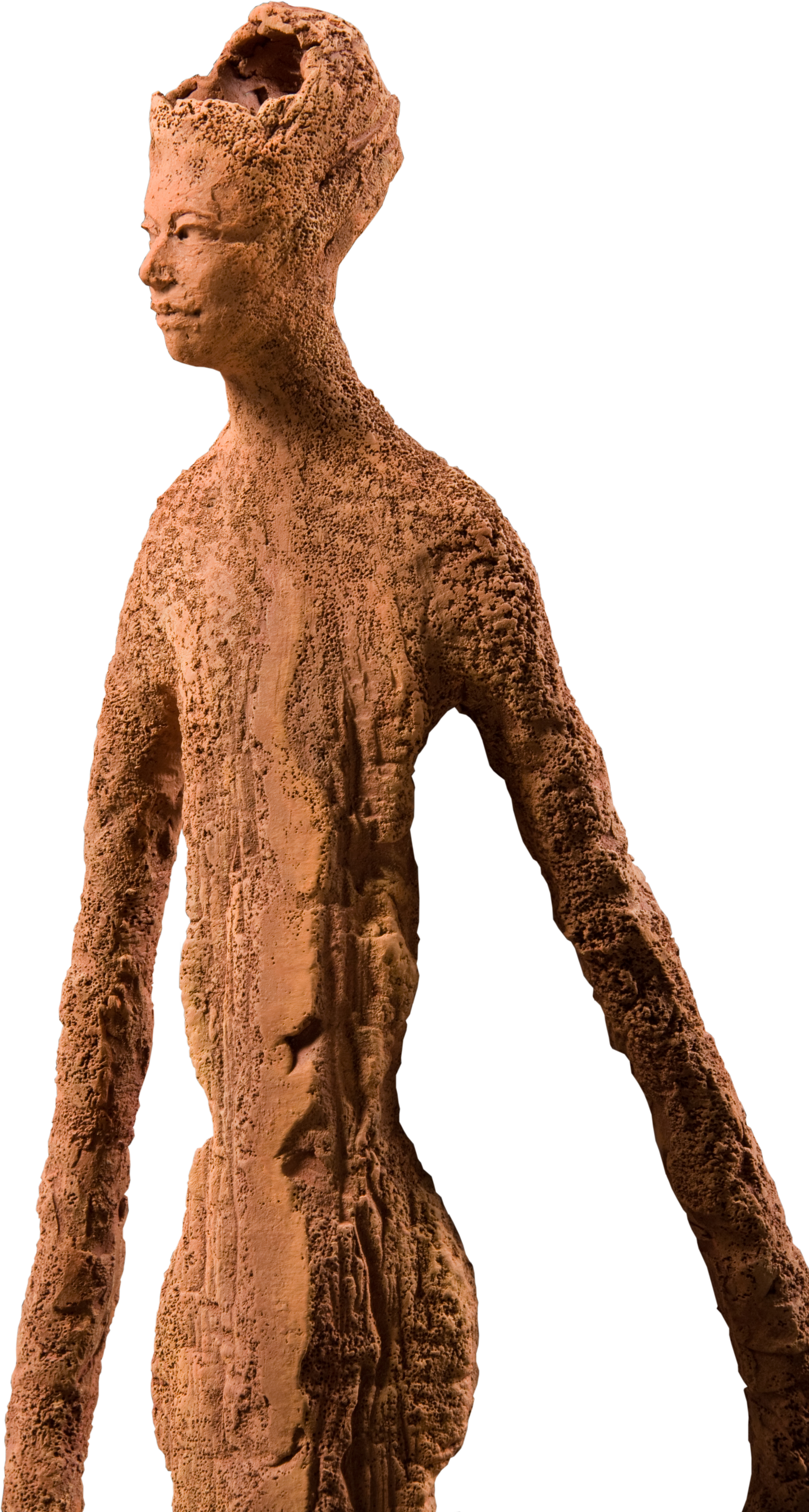 DeStaeblerwArm_Art.png